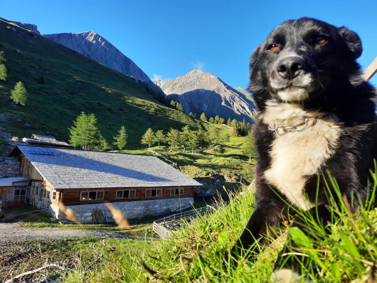 Wachtlerhof Leilighet Matrei in Osttirol Eksteriør bilde