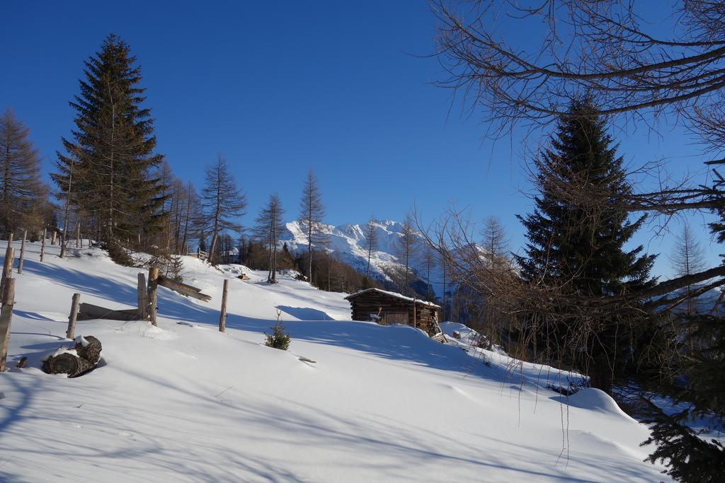 Wachtlerhof Leilighet Matrei in Osttirol Eksteriør bilde