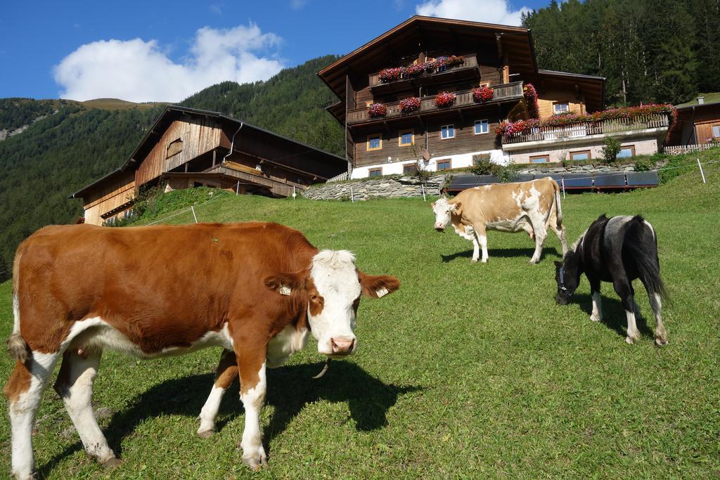 Wachtlerhof Leilighet Matrei in Osttirol Eksteriør bilde