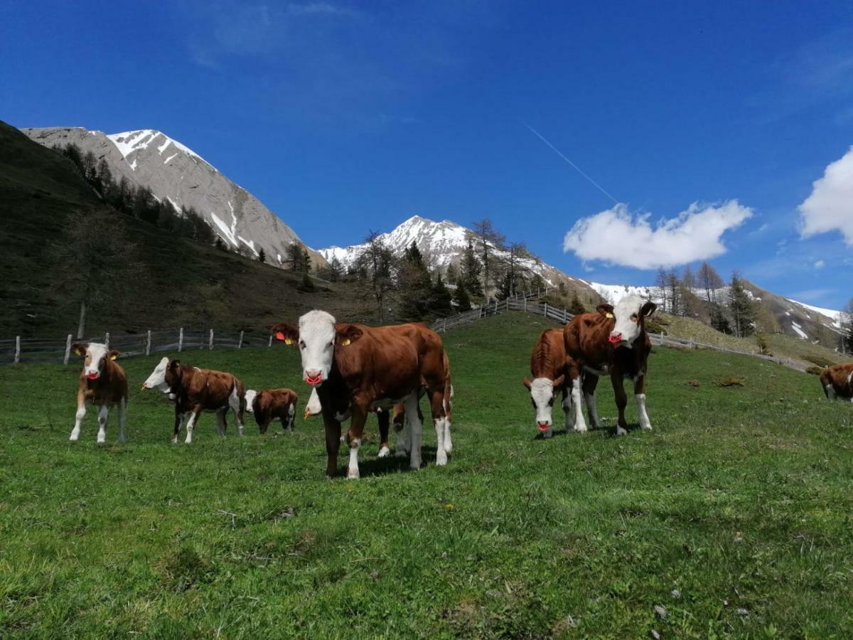 Wachtlerhof Leilighet Matrei in Osttirol Eksteriør bilde